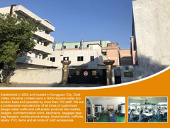 Gold Valley Industrial Limitada